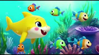 @Happy Ocean #ocean #sea #underwater #viral