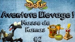 [Dofus] Aventure Elevage - #2  70M d'investi + 28M de revente en parchemins !