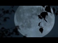 Song ''Moon Shine''. Песня ''Светит месяц''