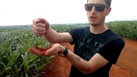 Como a terra roxa se formou qual sua importância para agricultura em quais estados do Brasil é encontrada?