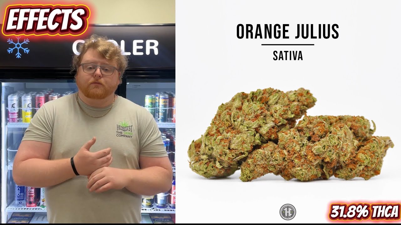 Orange Julius Strain Review: Smoking a Drink of Citrus 