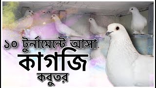 K.G.F White Pigeons | Mirpur Shahid Smrity pigeon loft
