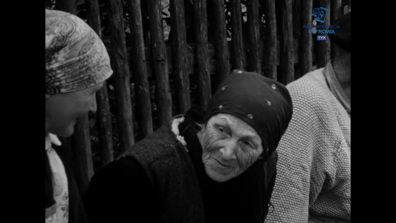 Relacje reporterskie - 