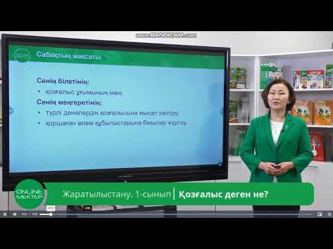 Бейне: Негізгі қозғалыс дегеніміз не?