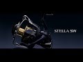 2019 STELLA SW Technlogy