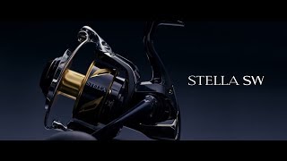 2019 STELLA SW Technlogy