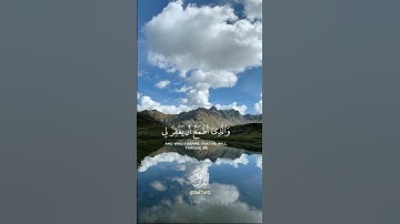 تلاوة رائعة #اسلام_صبحي #اكسبلور #كروما_قرآن #راحة_نفسية