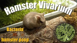 bioactive hamster cage