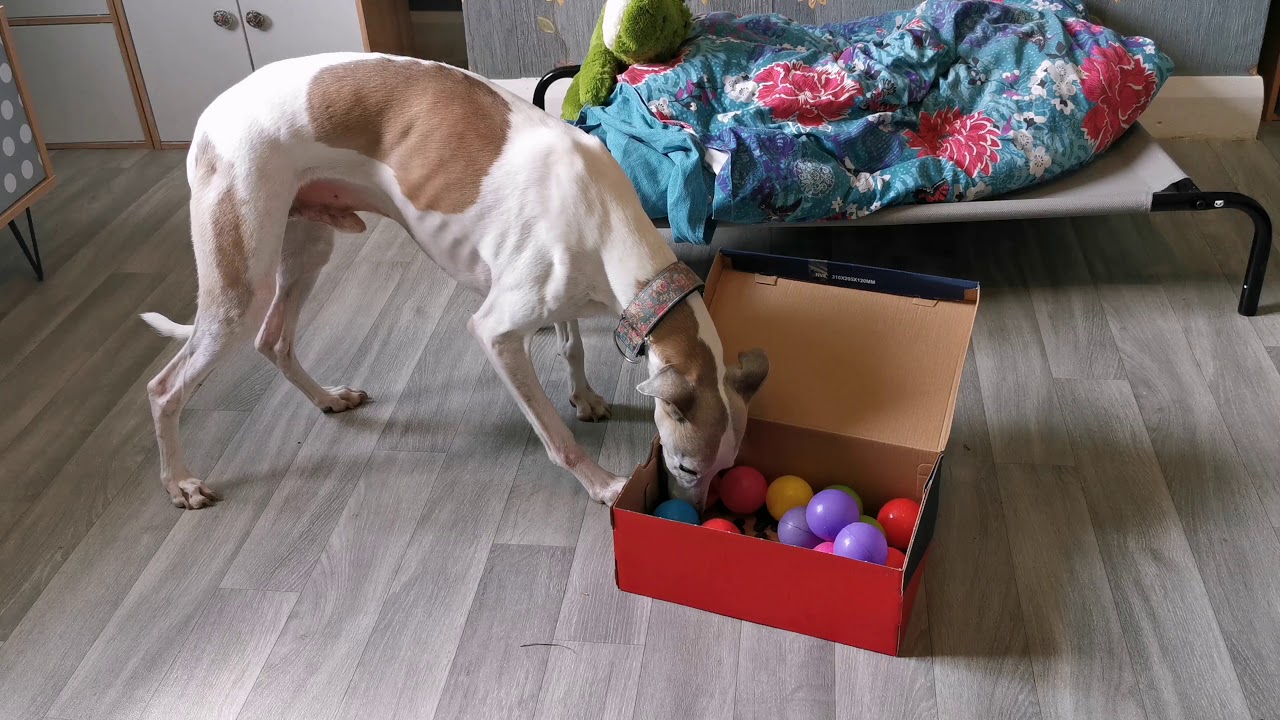 Box with ballpool balls - YouTube