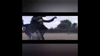 disco music # Shashi le Dicks @ tsipa