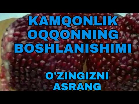 Video: O'zingizni Baholash