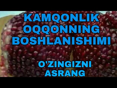 Video: O'zingizni Xudbinlik Uchun Qanday Tekshirish Kerak