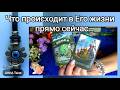 💚ЧТО ПРОИСХОДИТ В ЕГО ЖИЗНИ ПРЯМО СЕЙЧАС?.. 🧿 AHHA Tarot