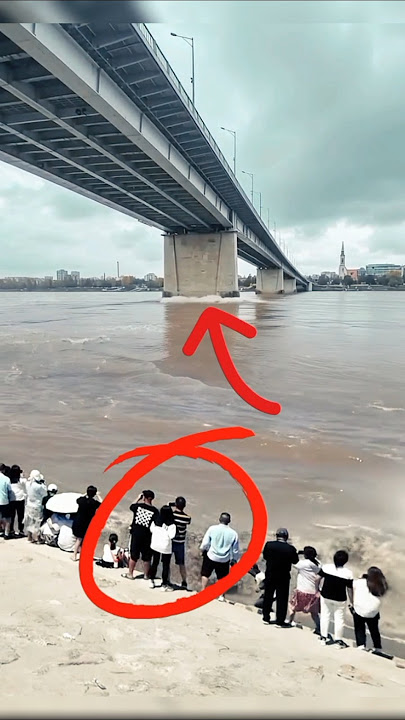 Detik-detik Jembatan Roboh Bikin Warga Panik! 😱🌉