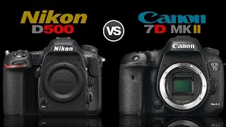 Nikon D500 Vs Canon 7D Mark Ii Camera Comparison