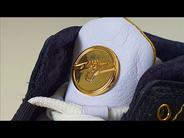 titan 22 x air jordan 23