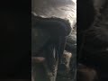 Запуск КАМАЗ 5320 с пол пинка)