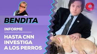 Hasta CNN INVESTISGA A LOS PERROS | #Bendita