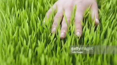 Touch grass but with epic music