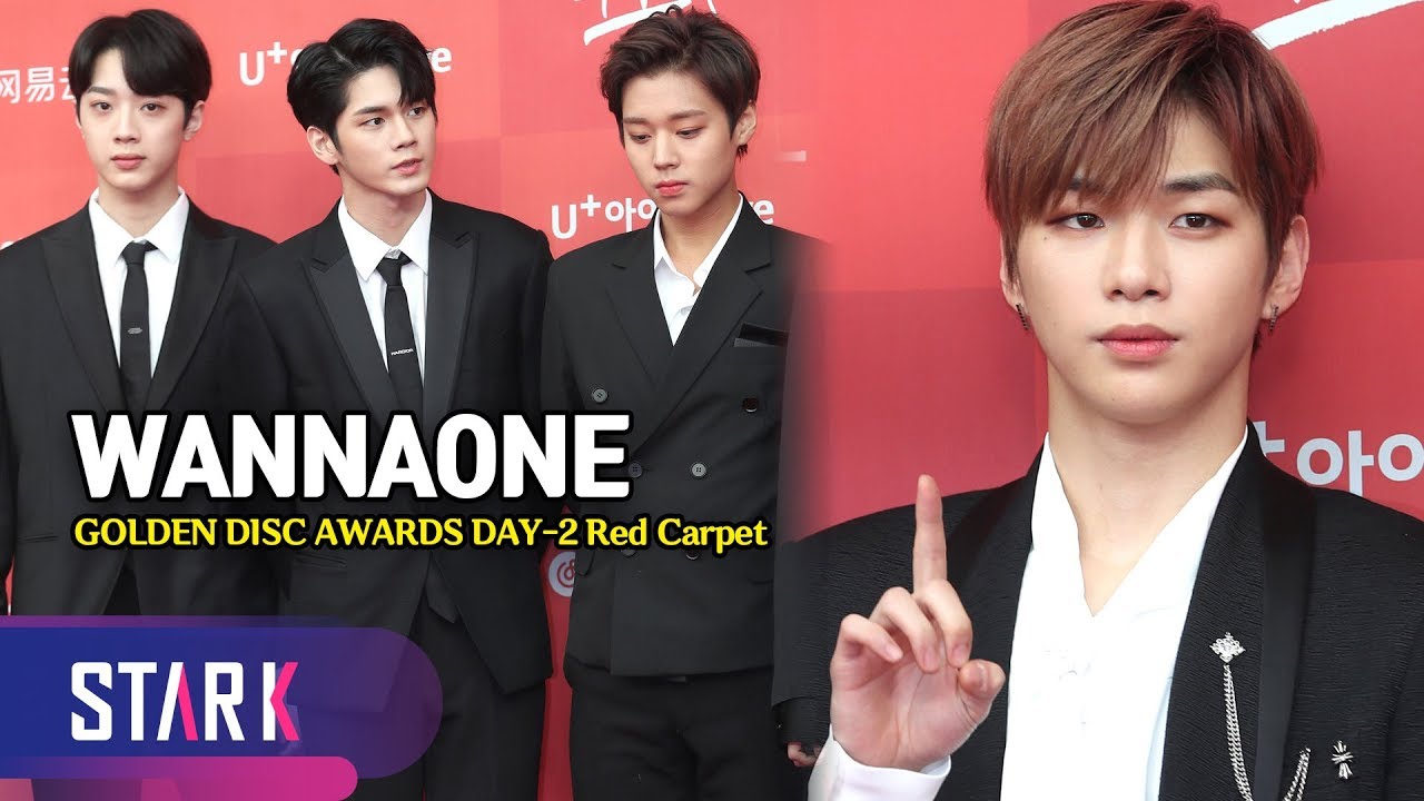 워너원, 2019년에도 꽃길 걷자! (WANNAONE, GOLDEN DISC AWARDS DAY-2 Red Carpet)