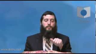 הדף היומי - מסכת סוכה דף י