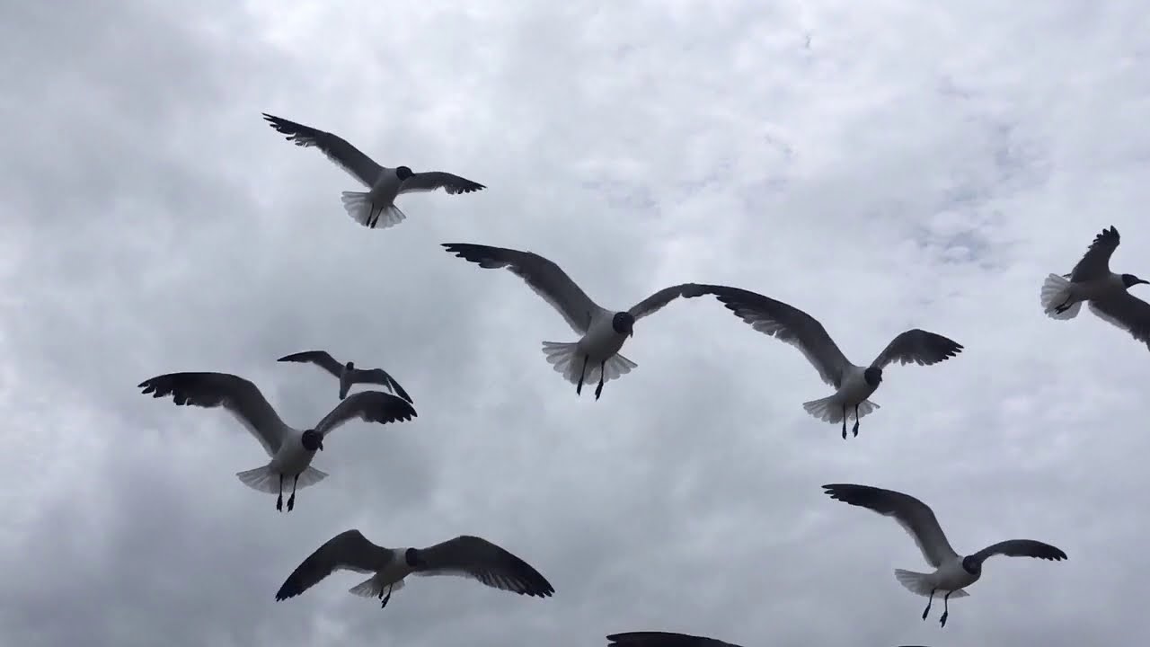 Baybvgoes On Vacation A Mini Movie Youtube