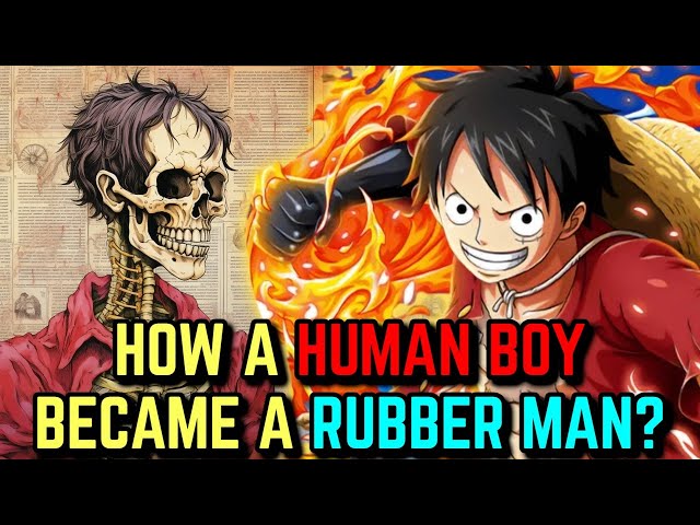 The Rubber Boy - One Piece Luffy