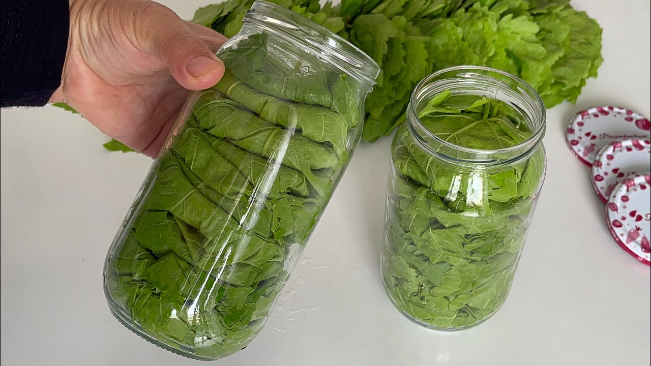 ✅Yapraklarınız 2 Yıl TAZE Kalacak❗️Haşlamadan Kavanoza ASMA YAPRAĞI Nasıl Basılır?