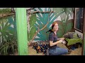 Kemosabe's New Habitat