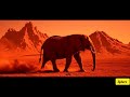 What happened with the elephant on Mars?