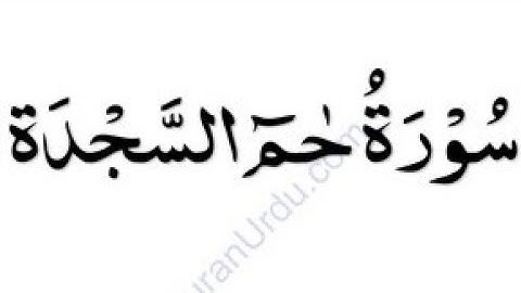 Surah haa meem sajdah   سورة حم السجدة