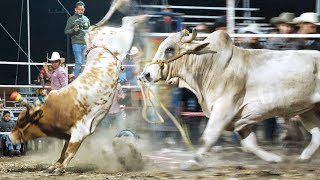 ¡¡CON PASO FIRME SIGUEN AVANZANDO ESTOS TOROS APICULTORES!! Rancho La Colmena en San Judas Jolalpan