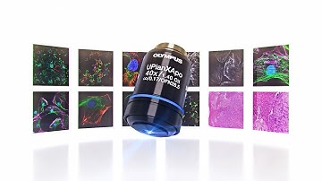 Olympus X Line Objectives