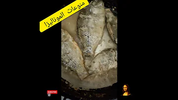 Shorts سمك مقلى مع ارز بالبصل 