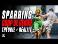 Sparring boxe tha  le genou en realit 