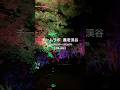 チームラボ×養老渓谷!夜の野外展