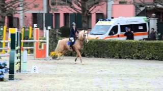 Cs Equieffe A - Snoopy E Benzoni Gillian - 1 Rango