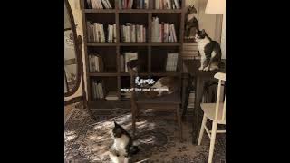 home - bts // slowed and reverbed ⚝