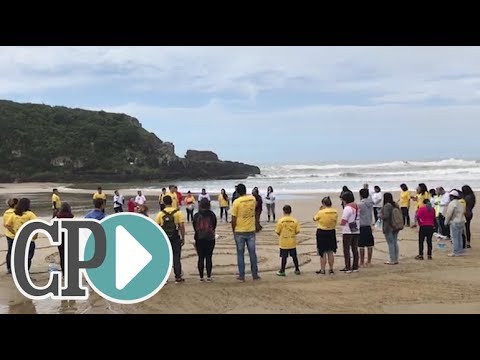 Voluntários recolhem quase 50 quilos de lixo na orla de Torres orlando disney