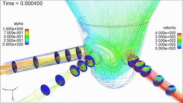 Plume-to-Plume Variations in Multi-hole Injector Simulations with Needle Transients