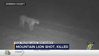 Mountain lion killed in Johnson County screenshot 3