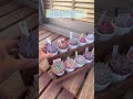 【多肉植物】🪴場所を選ばない❗️ コンパクトな1ダース2段棚を作りました。🪚 #多肉植物 #多肉棚 #shorts