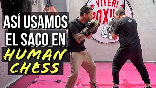 ¿Cómo usar el SACO en HUMAN CHESS?