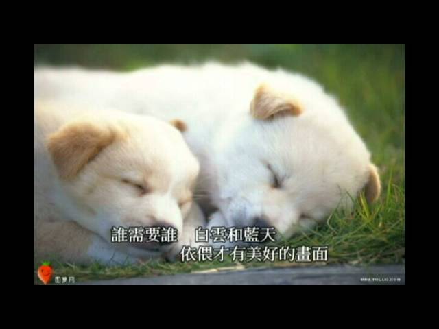  - HeartVod