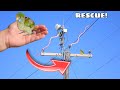 BABY BIRD RESCUED FROM DANGEROUS ELECTRICAL POWER-LINES! DID IT SURVIVE?!