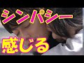 佐藤健と上白石萌音 相性バッチリでお似合いのたけもねにドキドキが抑えられない…似合っていない声も…