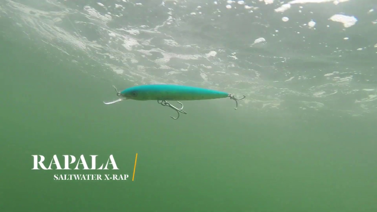 How Lures Swim: Rapala Saltwater X-Rap 