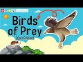 Birds of Prey Characteristics and Conservation