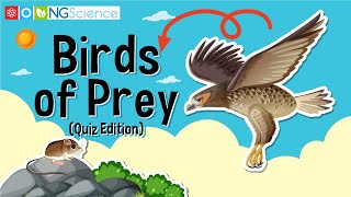 Birds of Prey (Quiz Edition)