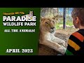 Paradise wildlife park 2023